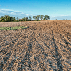 Жамбыл облысында 274,9 гектар жер мемлекет меншігіне қайтарылды 