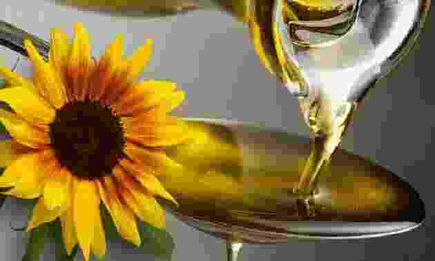 Экспорт растительного масла из Казахстана вырос почти на 35%