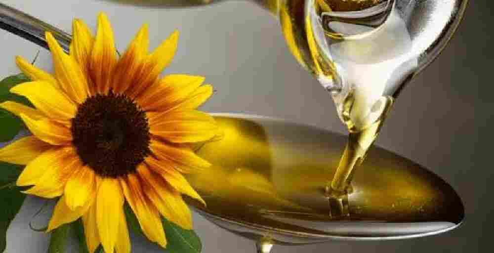 Экспорт растительного масла из Казахстана вырос почти на 35%