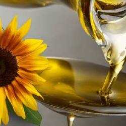 Елімізден өсімдік майын қай елдер көптеп сатып алады  