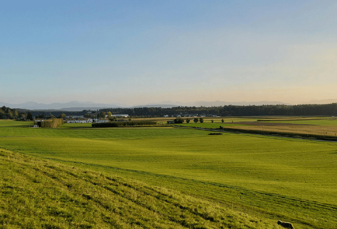 Пастбища на 2,6 млрд тенге вернули в госсобственность в Аксу