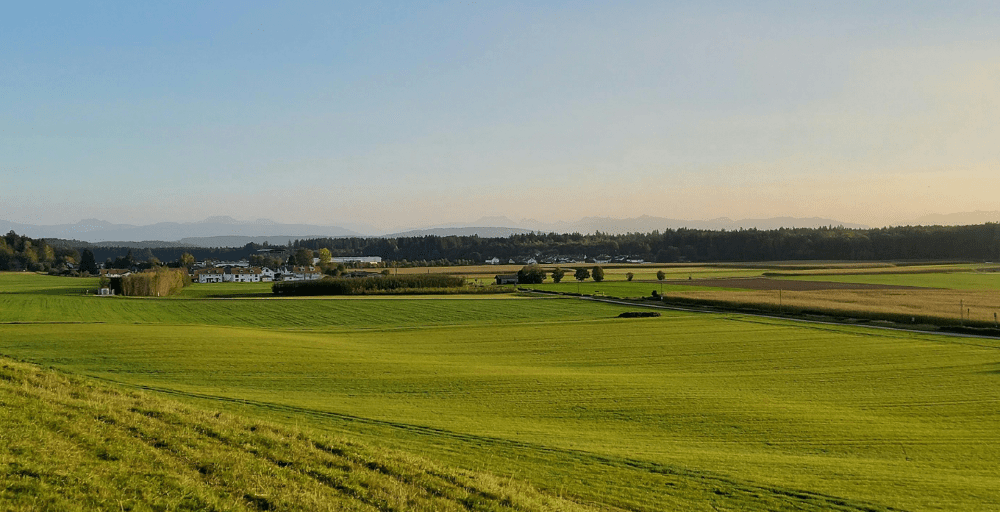 Пастбища на 2,6 млрд тенге вернули в госсобственность в Аксу