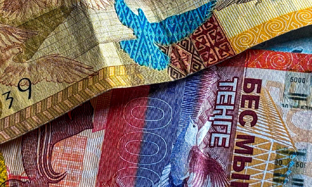 Более $35 млн использовали казахстанцы по программе &laquo;Нацфонд &mdash; детям&raquo;