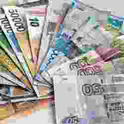 Упали покупки всех основных торговых валют Казахстана на KASE в январе &mdash; Нацбанк