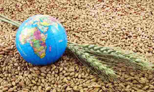 Через Балтику &mdash; в Скандинавию: Казахстан усиливает агроэкспортный курс