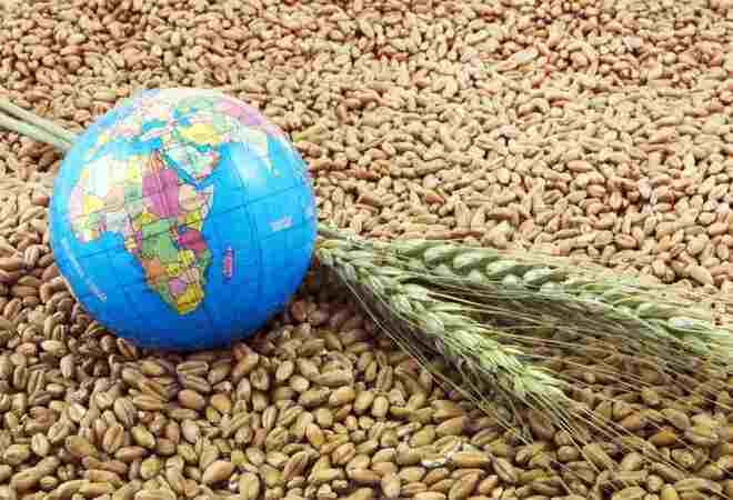 Через Балтику &mdash; в Скандинавию: Казахстан усиливает агроэкспортный курс