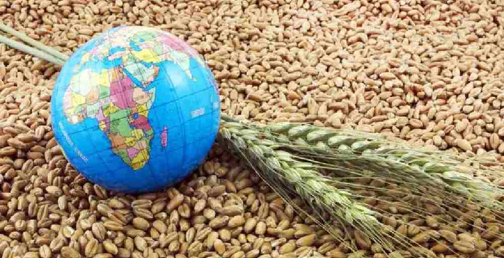 Через Балтику &mdash; в Скандинавию: Казахстан усиливает агроэкспортный курс