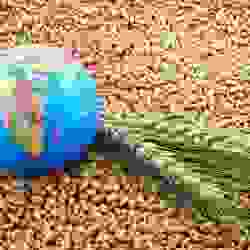 Через Балтику &mdash; в Скандинавию: Казахстан усиливает агроэкспортный курс