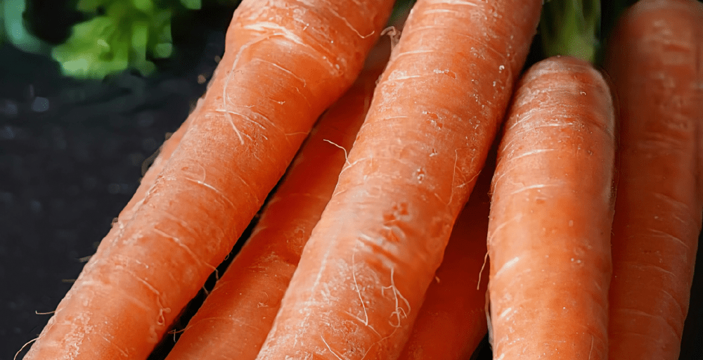 Үкімет көкөніс экспортын шектемейтін болды