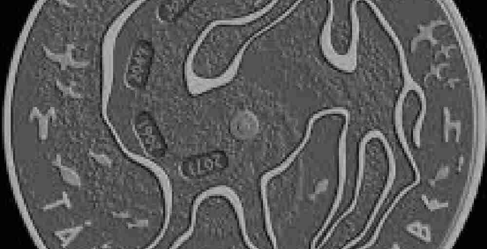 Ұлттық банк жаңа күміс монеталарды сатуға шығарады 