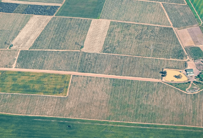 Түркістан облысында 3 мың гектар жер мемлекетке қайтарылды