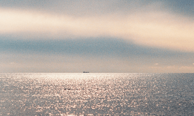 1,1 млрд тенге выделило Правительство Казахстана на изучение и сохранение Каспия