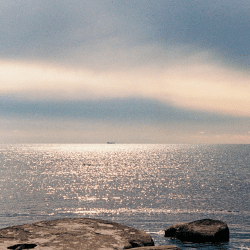 1,1 млрд тенге выделило Правительство Казахстана на изучение и сохранение Каспия