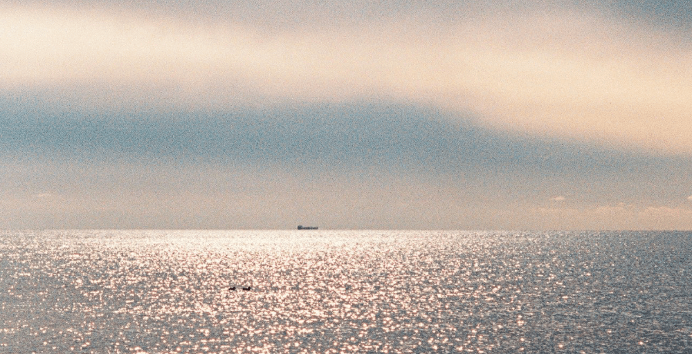 Каспий теңізін зерделеуге Үкімет резервінен 1,1 млрд теңге бағытталды  