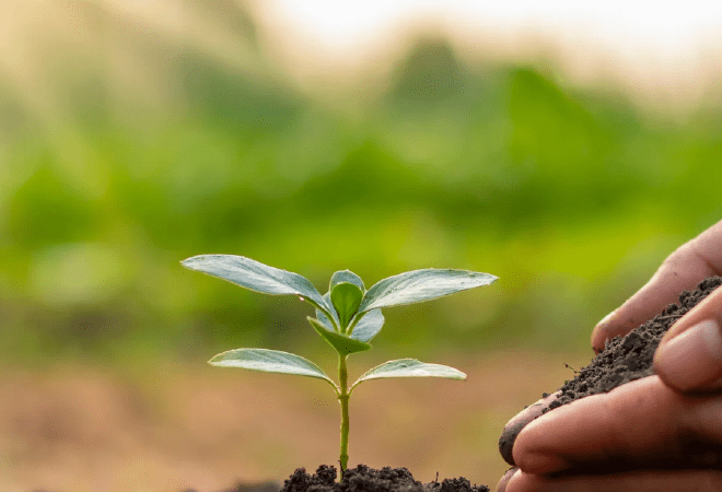 Шаруаларға арналған дизель нарықтағы бағадан 15% арзан болады – министр