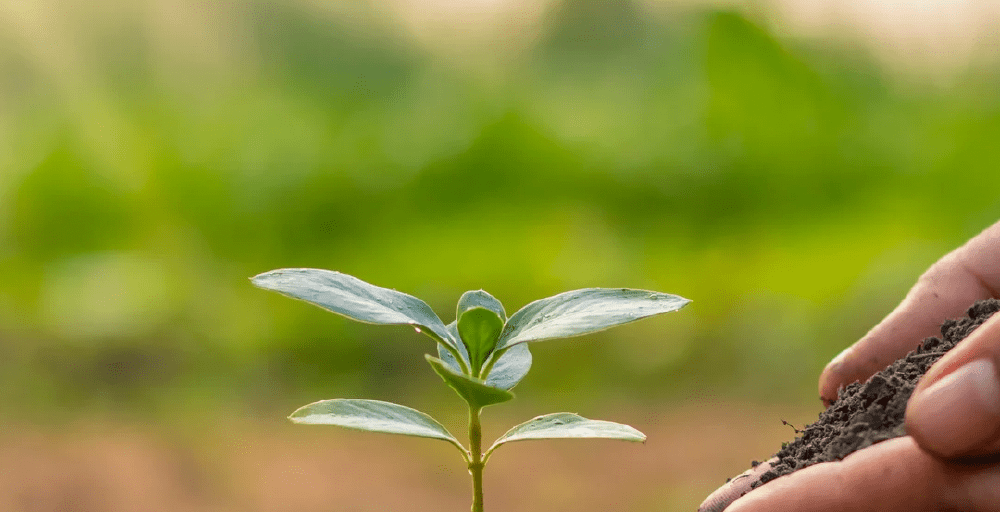 Шаруаларға арналған дизель нарықтағы бағадан 15% арзан болады &ndash; министр  