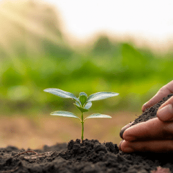 Шаруаларға арналған дизель нарықтағы бағадан 15% арзан болады – министр