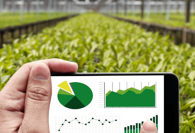 Что будут выращивать в Шымкенте в 2026 году