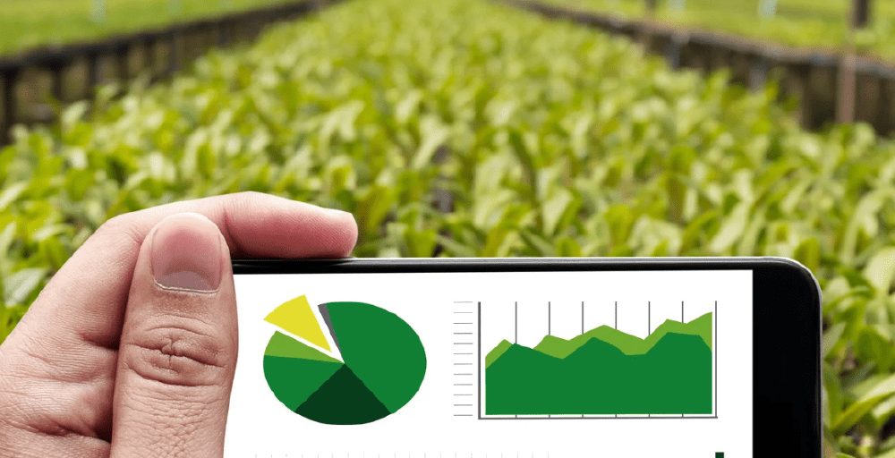 Что будут выращивать в Шымкенте в 2026 году