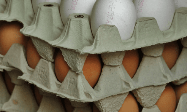 Казахстан запретит покупать яйца из России и других стран