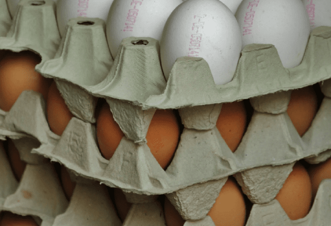 Казахстан запретит покупать яйца из России и других стран