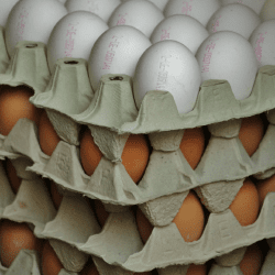 Казахстан запретит покупать яйца из России и других стран