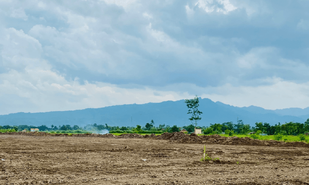 В ВКО в сельхозоборот вовлечено 131,6 тысячи га возвращенных земель 