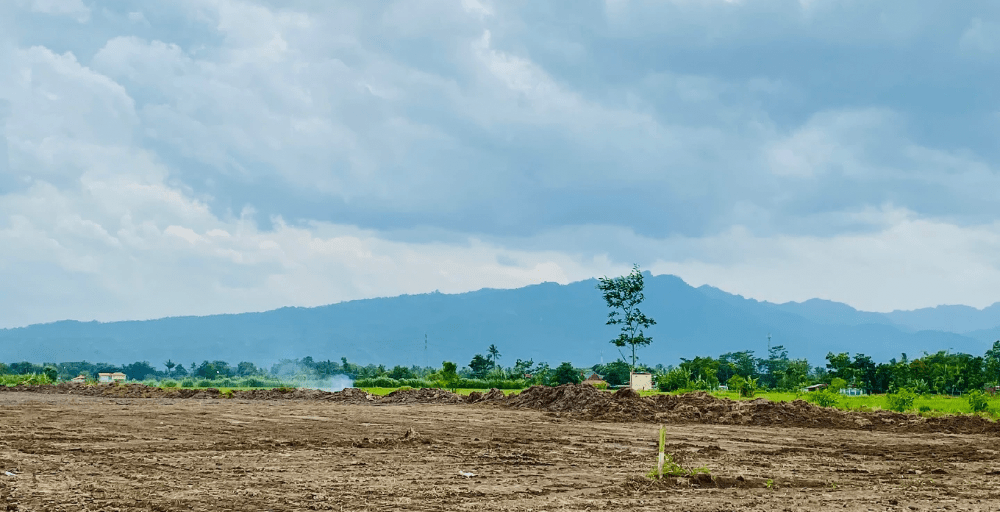 В ВКО в сельхозоборот вовлечено 131,6 тысячи га возвращенных земель 