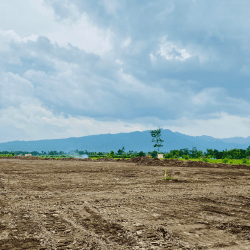 В ВКО в сельхозоборот вовлечено 131,6 тысячи га возвращенных земель 