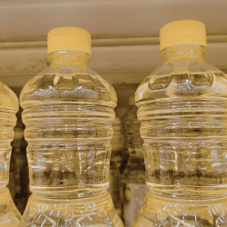 Экспорт казахстанских растительных масел в Китай вырос на 44%