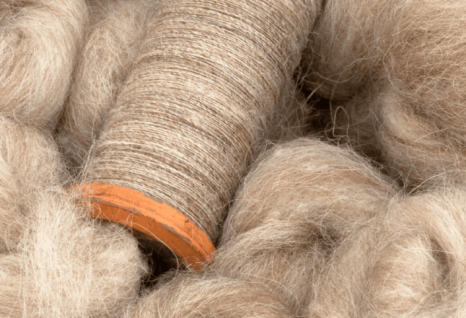 Второй завод по переработке шерсти появится в Казахстане