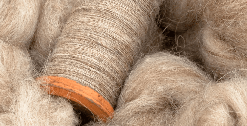 Второй завод по переработке шерсти появится в Казахстане