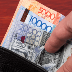 2026 жыл басынан 163 мыңнан астам адамға атаулы әлеуметтік көмек көрсетілді