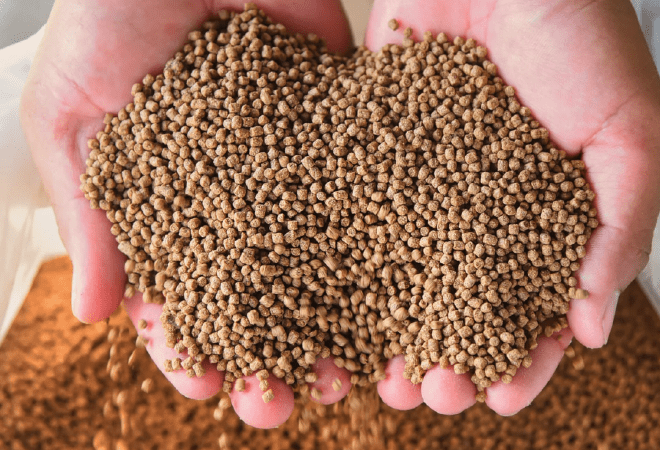 В трех регионах могут построить заводы по производству рыбных кормов  