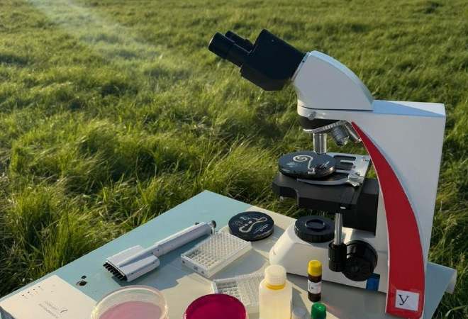 Каждый восьмой продукт в Казахстане с нарушениями: как работает пищевое мошенничество