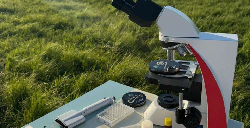 Каждый восьмой продукт в Казахстане с нарушениями: как работает пищевое мошенничество