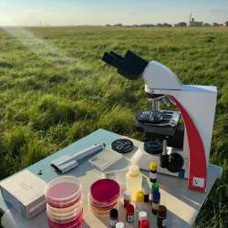 Каждый восьмой продукт в Казахстане с нарушениями: как работает пищевое мошенничество