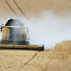 3 мыңға жуық фермер көктемгі егіс жұмыстарына қаржы алды