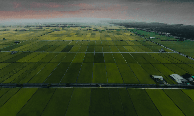 Неосвоенные сельхозземли вернули в госсобственность в Кызылординской области