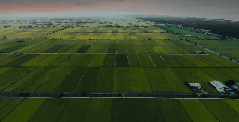 Неосвоенные сельхозземли вернули в госсобственность в Кызылординской области