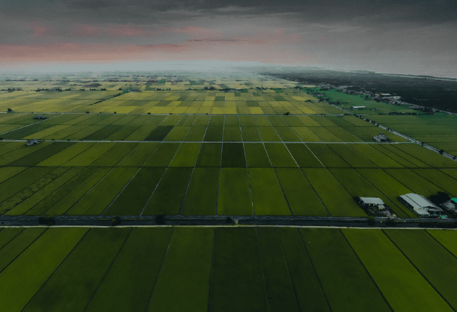 Қызылорда облысында игерілмеген ауыл шаруашылығы жері мемлекет меншігіне қайтарылды