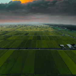 Қызылорда облысында игерілмеген ауыл шаруашылығы жері мемлекет меншігіне қайтарылды 