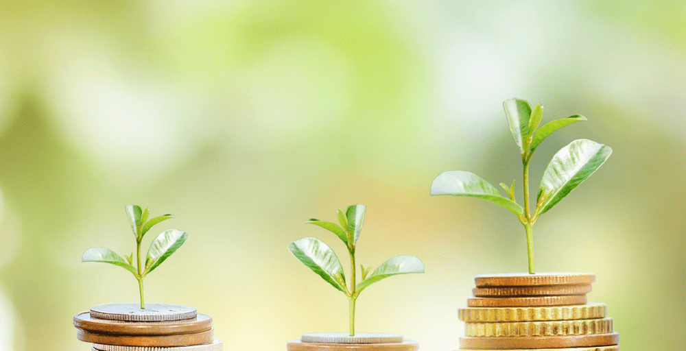 Алматы облысында 7 агроинвестициялық жоба іске асады 