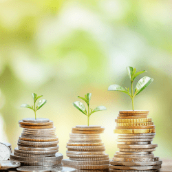 Алматы облысында 7 агроинвестициялық жоба іске асады 