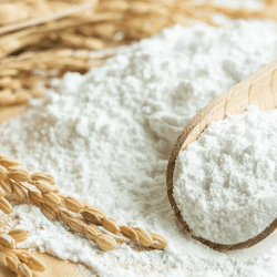 Қостанайдан Нью-Йоркке 24 тонна қазақстандық ұн экспортталды