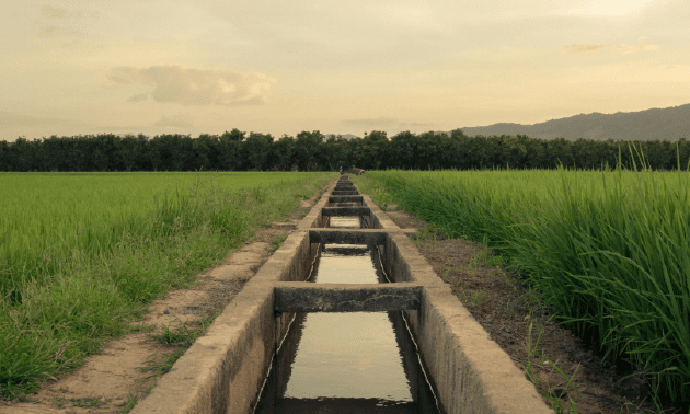 Реконструкцию более 143 км ирригационных сетей начали в Туркестанской области