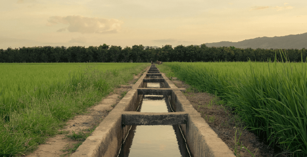 Реконструкцию более 143 км ирригационных сетей начали в Туркестанской области
