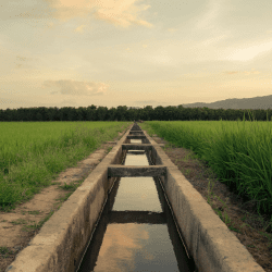 Реконструкцию более 143 км ирригационных сетей начали в Туркестанской области