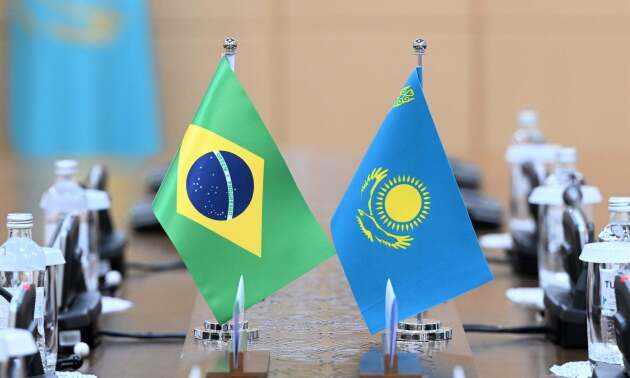 Товарооборот в сфере АПК между Казахстаном и Бразилией вырос на 10%
