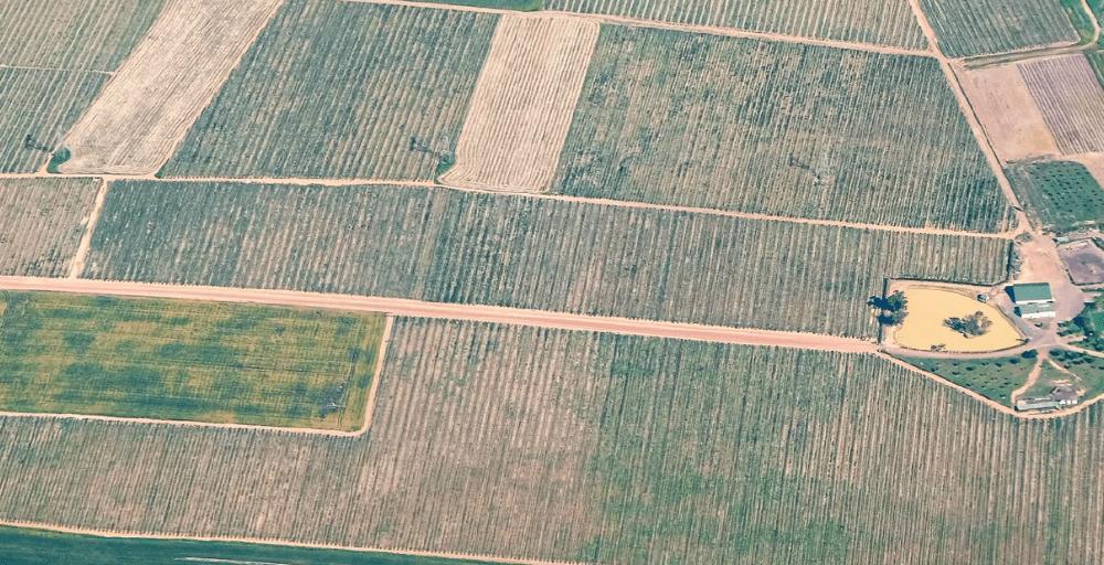 Ақтөбеде 1,9 гектар пайдаланылмаған жер телімі мемлекет меншігіне қайтарылды